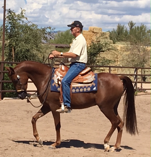 Culbreth Equine