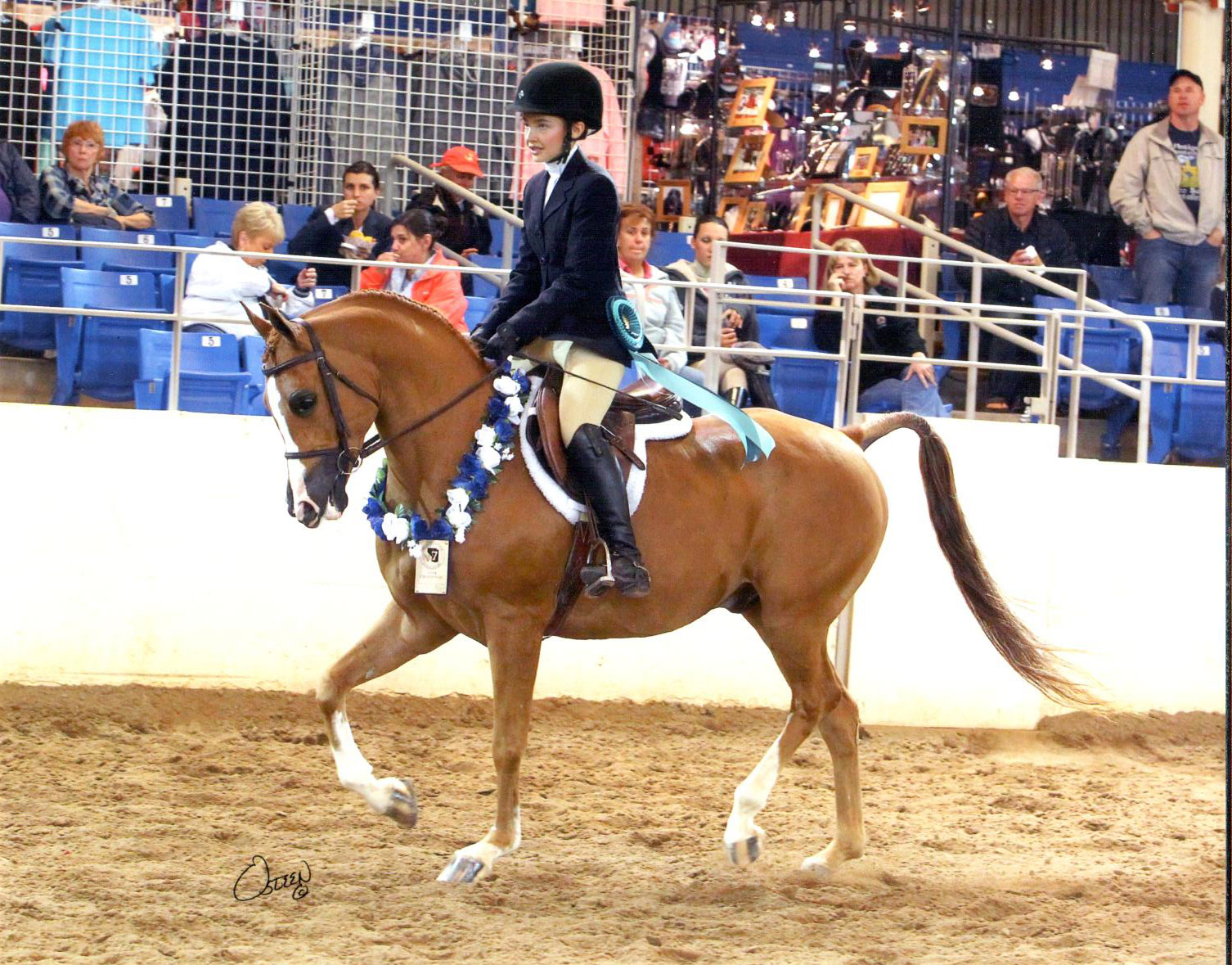 Culbreth Equine