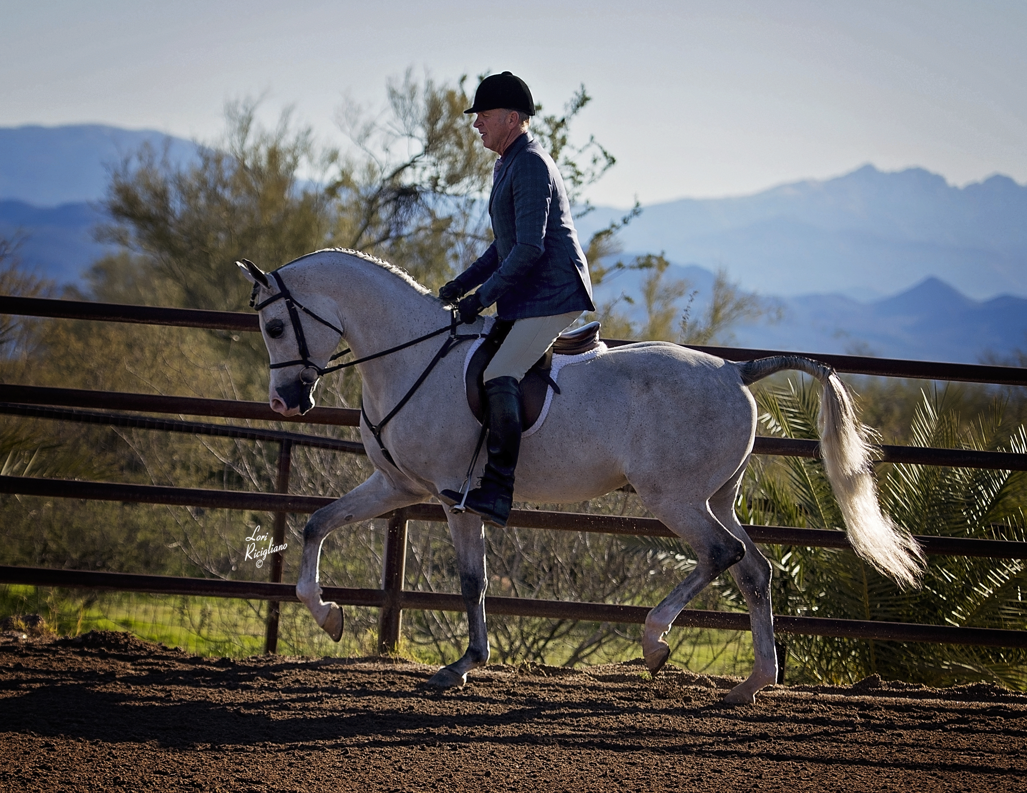 Culbreth Equine