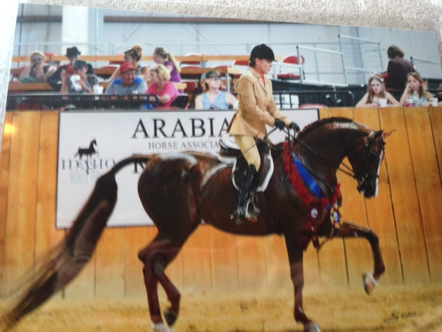 Culbreth Equine